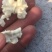 石家庄去皮新鲜核桃，皮薄，仁饱满。口干好。
