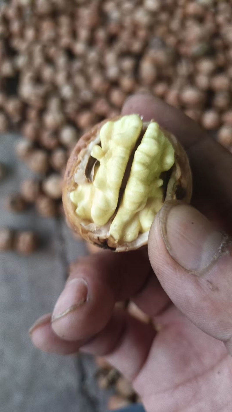 石家庄产地直发，去皮鲜核桃，一手货源。货源充足。