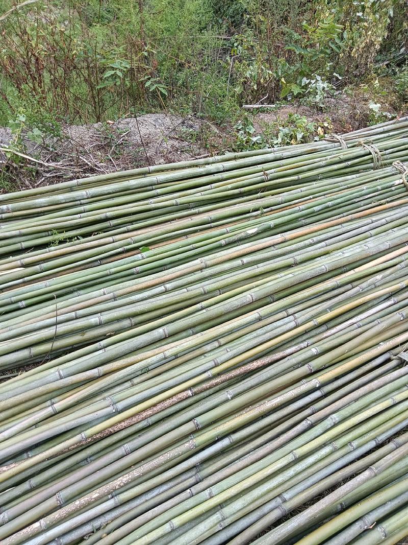 竹竿，大棚竹竿5~6米竹竿