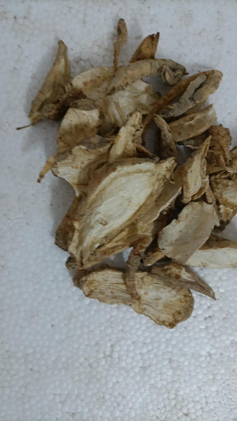 山海螺正品中药材广东农家自挖自晒无硫野生奶通乳四叶参奶参