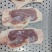 鸭胸脯带皮鸭肉批发冻品新鲜厂家直发价格低
