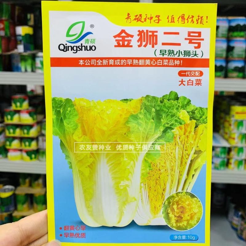 早熟小狮头白菜种子金狮二号黄心白菜种子杂交翻黄心大白菜种