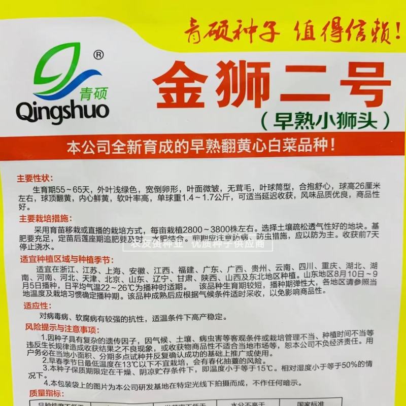 早熟小狮头白菜种子金狮二号黄心白菜种子杂交翻黄心大白菜种