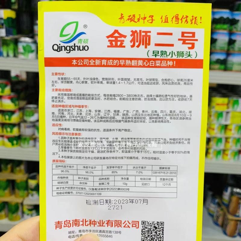 早熟小狮头白菜种子金狮二号黄心白菜种子杂交翻黄心大白菜种
