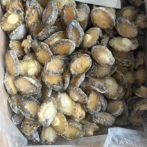 鲍鱼肉冷冻鲍鱼肉免处理鲍鱼肉捞汁小海鲜食材鲍鱼肉