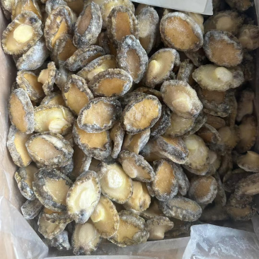 鲍鱼肉冷冻鲍鱼肉免处理鲍鱼肉捞汁小海鲜食材鲍鱼肉