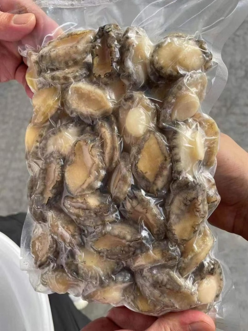 鲍鱼肉冷冻鲍鱼肉免处理鲍鱼肉捞汁小海鲜食材鲍鱼肉