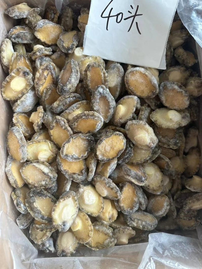 鲍鱼肉冷冻鲍鱼肉免处理鲍鱼肉捞汁小海鲜食材鲍鱼肉