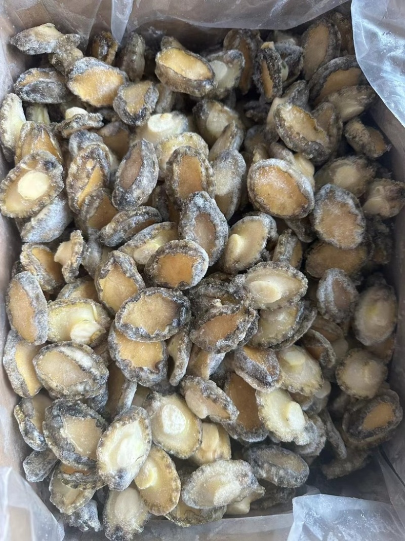 鲍鱼肉冷冻鲍鱼肉免处理鲍鱼肉捞汁小海鲜食材鲍鱼肉