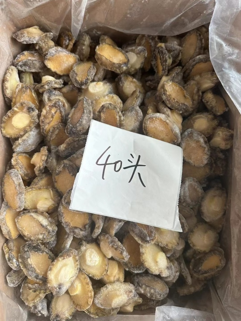 鲍鱼肉冷冻鲍鱼肉免处理鲍鱼肉捞汁小海鲜食材鲍鱼肉