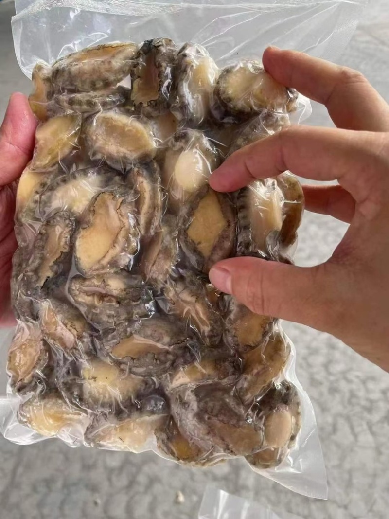 鲍鱼肉冷冻鲍鱼肉免处理鲍鱼肉捞汁小海鲜食材鲍鱼肉