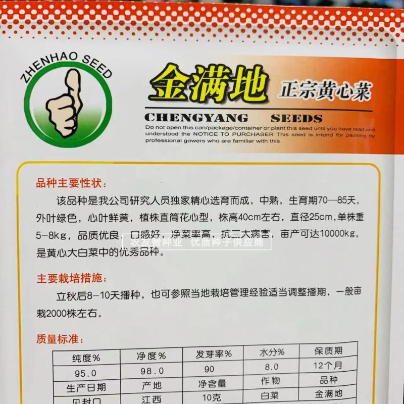 金满地黄心菜种子中熟心叶鲜黄直筒花心型大白菜种子口感好