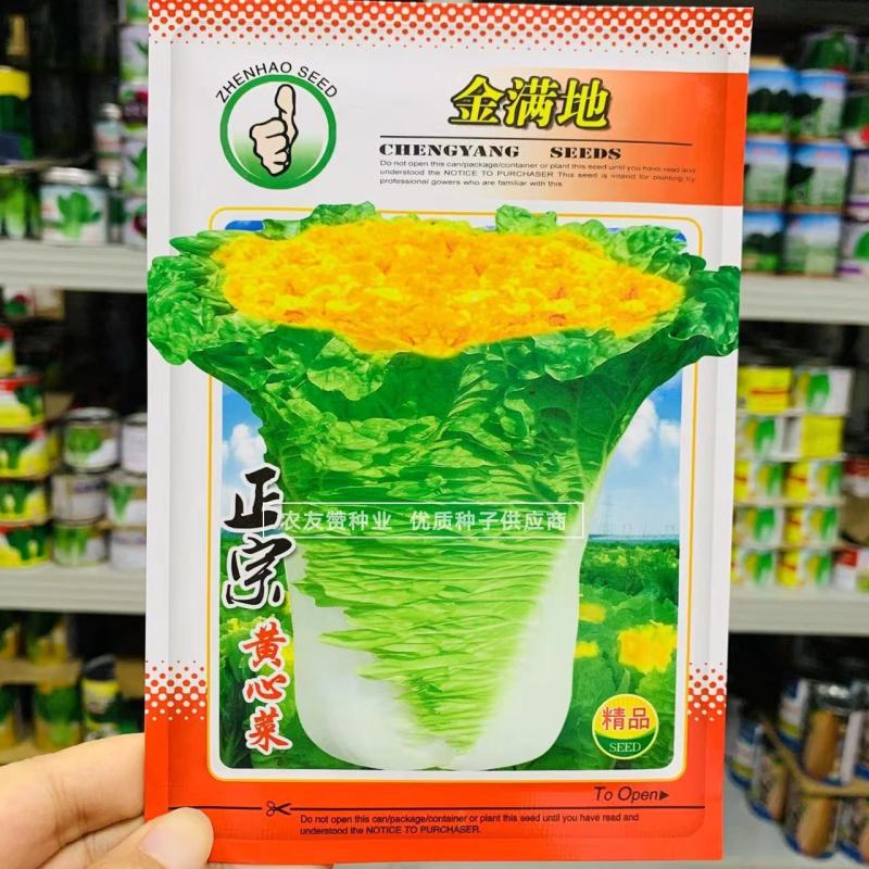 金满地黄心菜种子中熟心叶鲜黄直筒花心型大白菜种子口感好