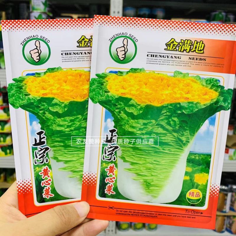 金满地黄心菜种子中熟心叶鲜黄直筒花心型大白菜种子口感好