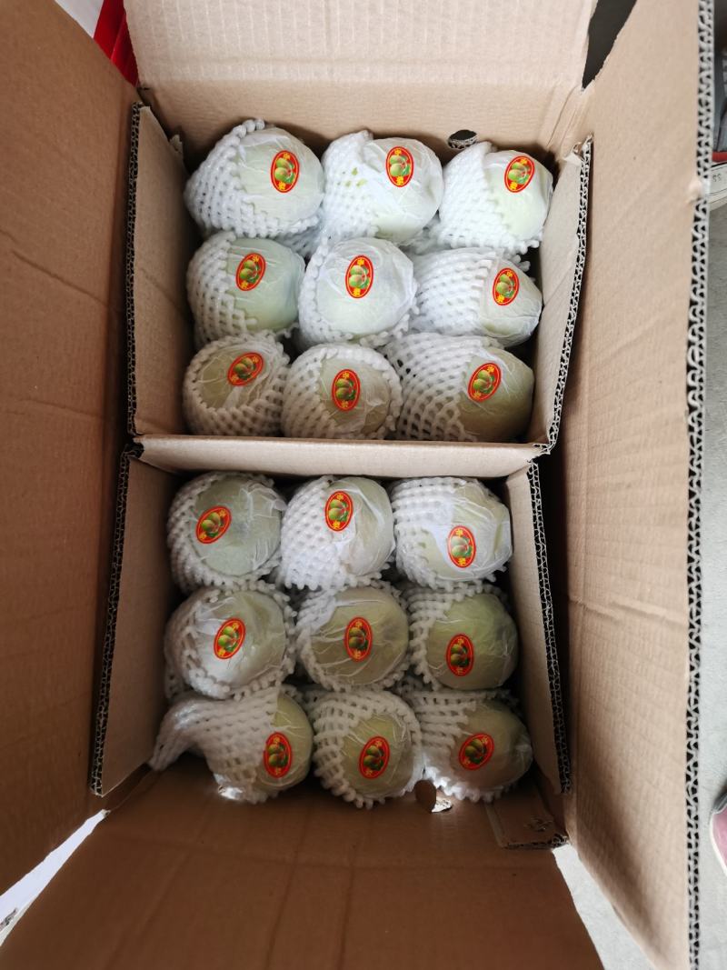 陕西红香酥梨批发价格，大荔红香酥梨行情，冷库香梨走货