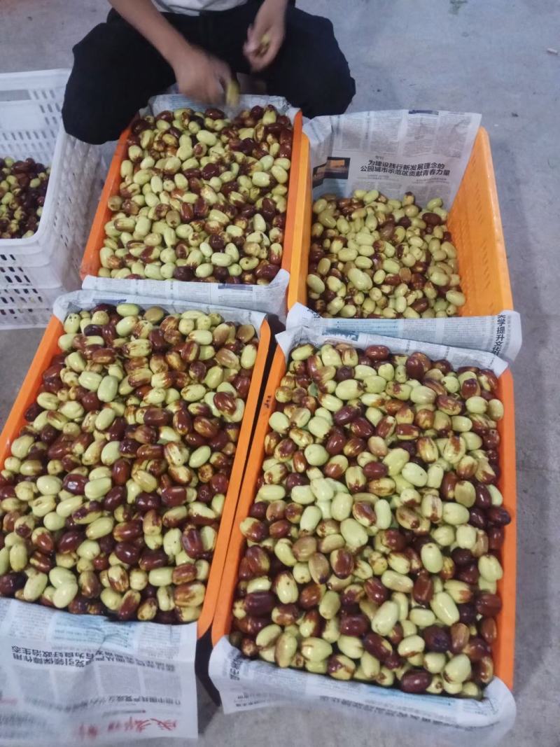 贵妃枣，贵妃枣合作社三台罗江都有，值得你信赖。