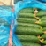 山东密刺黄瓜干花带刺，小中条，代收代发全国供应市场商超