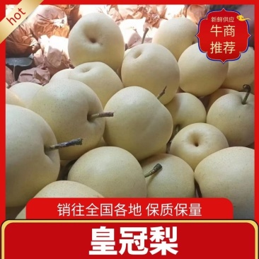 河北皇冠梨产地直发,货源稳定,规格齐全,提供一条龙服务