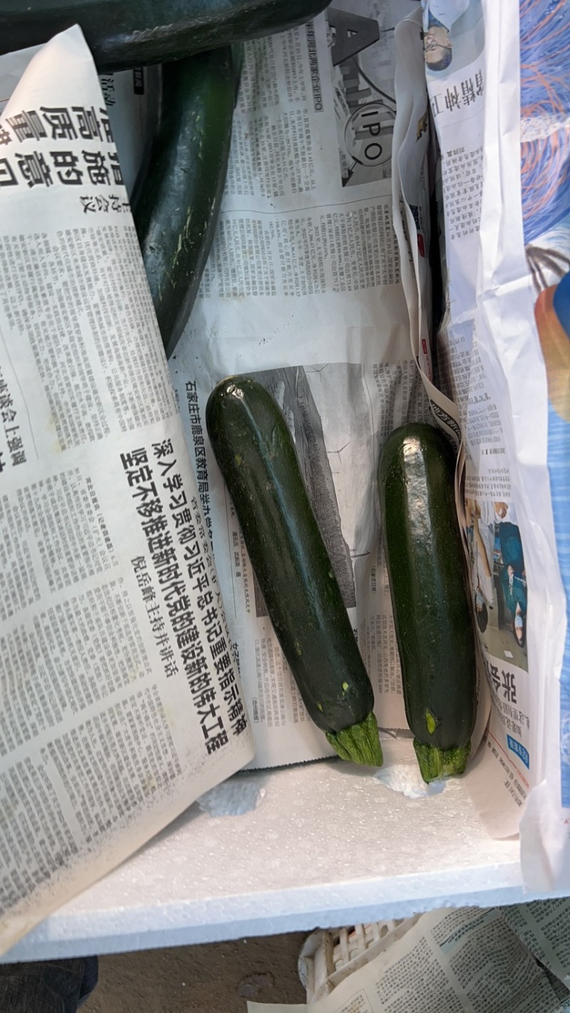 青葫芦