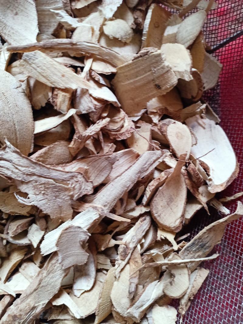 枸骨根，正品枸骨根质量保证，经营各种中药材欢迎咨询合作！