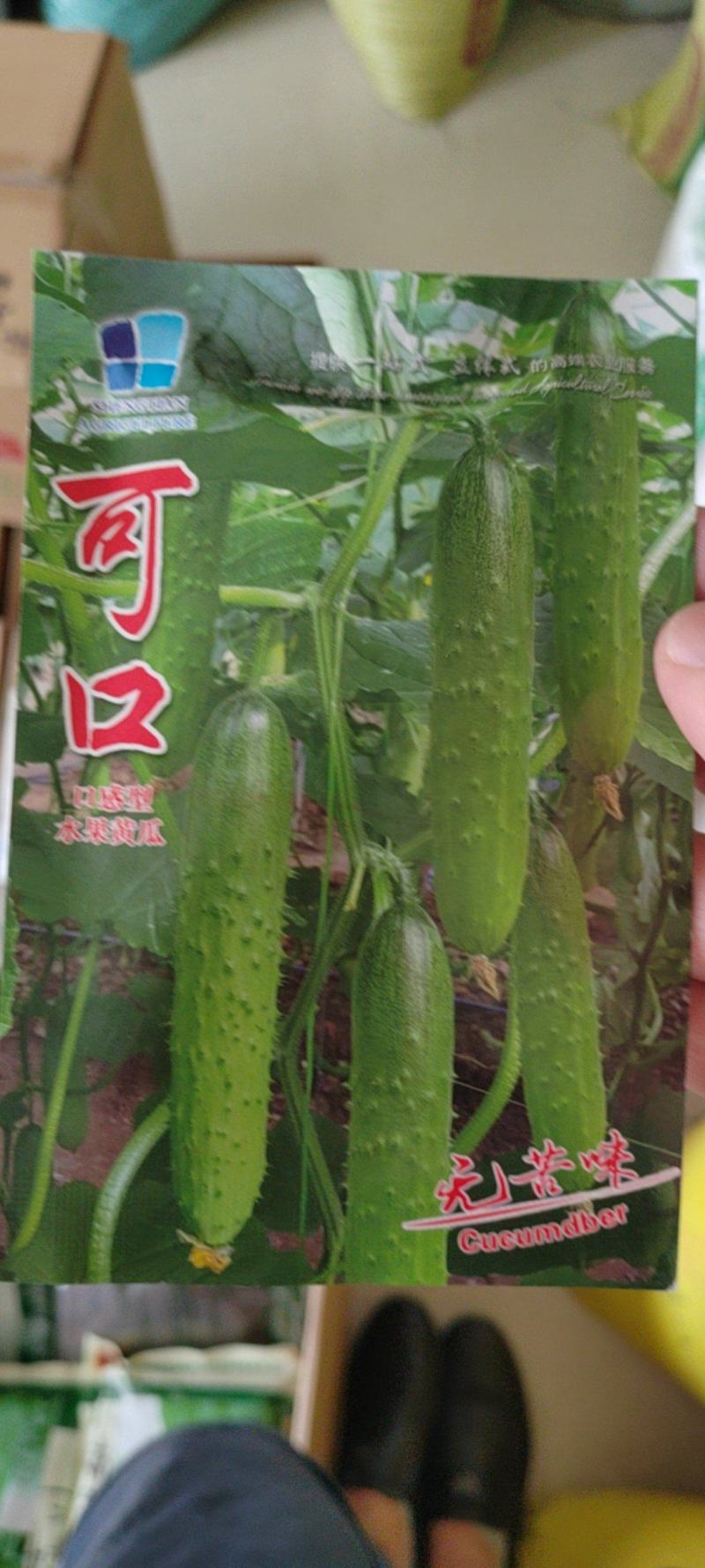 无苦味强磁性节节有瓜座果率高无架春秋地黄瓜种子
