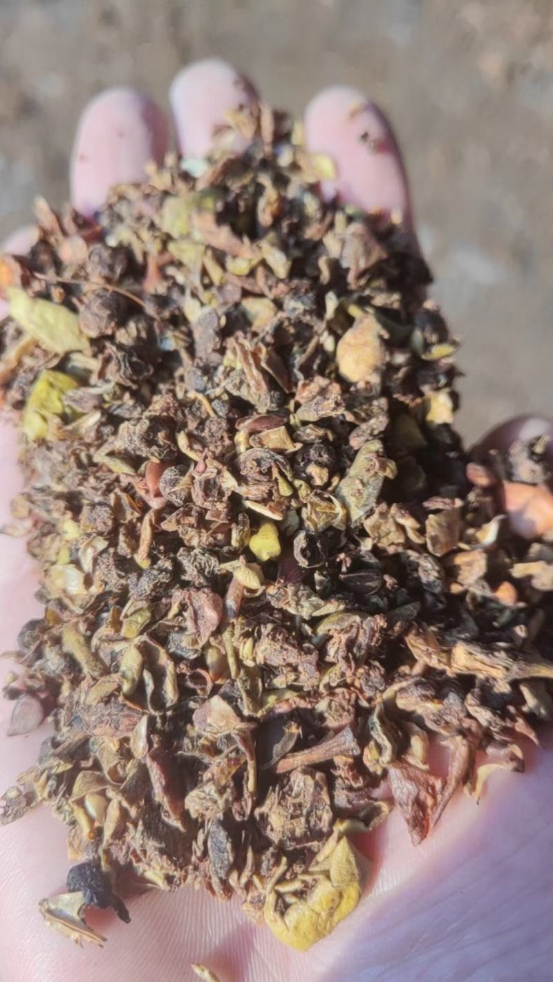 烘干苹果渣，糖分高