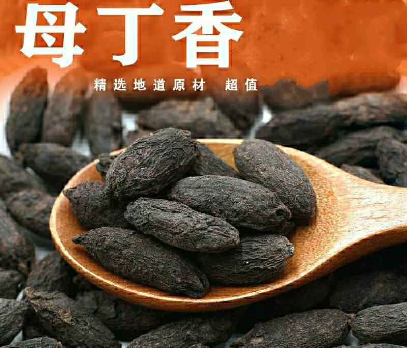 母丁香香味浓郁中药材香料干净无杂炖肉卤菜调料包邮