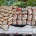 白心226，现收现发基地直发量大价优品质保障欢迎电联