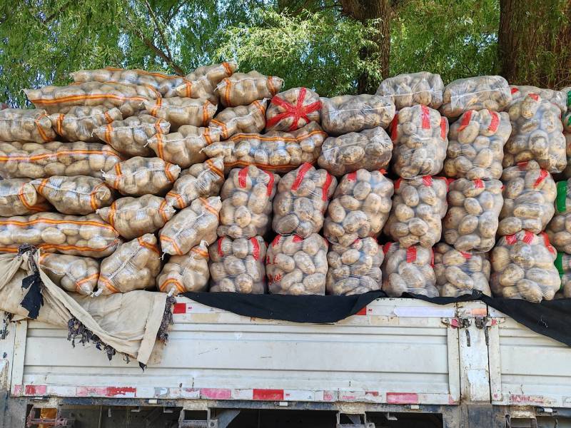 白心226，现收现发基地直发量大价优品质保障欢迎电联
