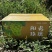 陕西大荔，阳光玫瑰，大量上市，一手货源需要的联系
