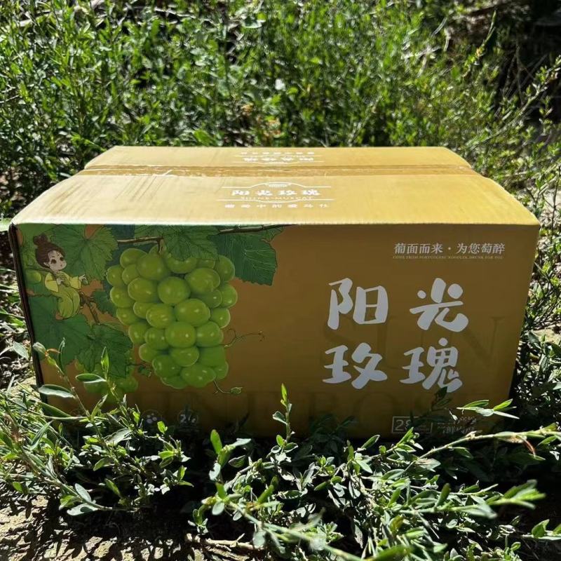 陕西大荔，阳光玫瑰，大量上市，一手货源需要的联系