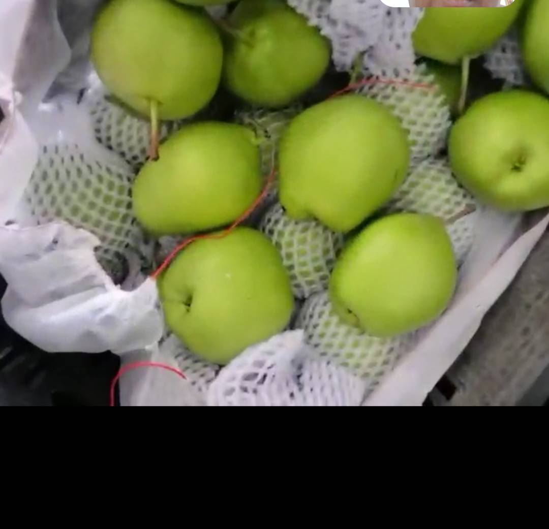 绿宝石梨加工场景