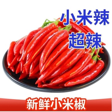 小米椒万亩基地专业代发各种市场包装