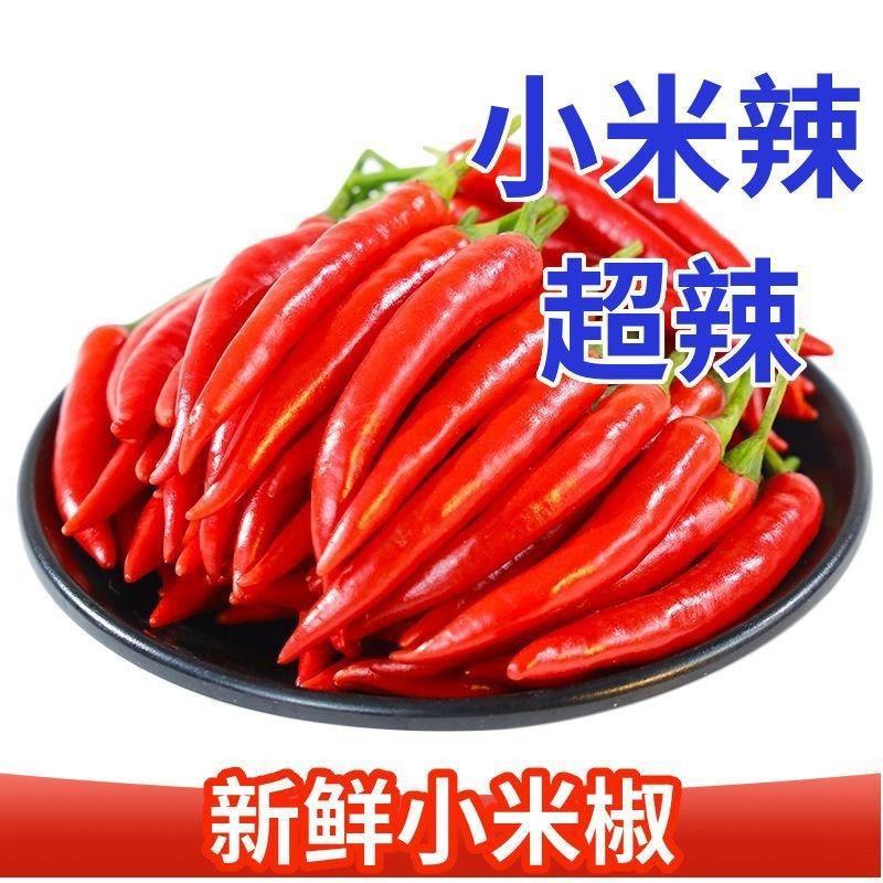 小米椒万亩基地专业代发各种市场包装
