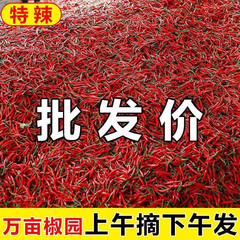 小米椒万亩基地专业代发各种市场包装