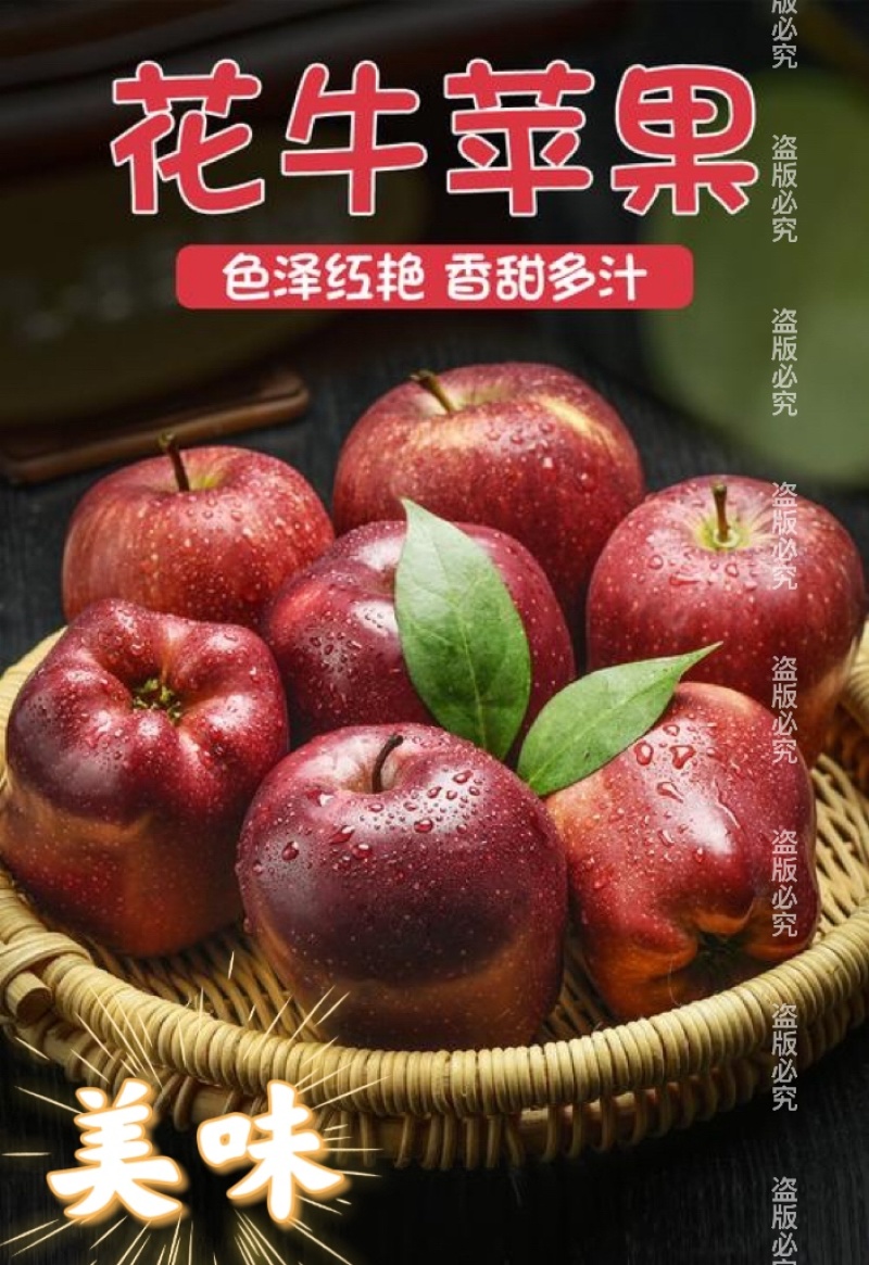 一件代发，甘肃天水花牛苹果，大量上市，提前预定