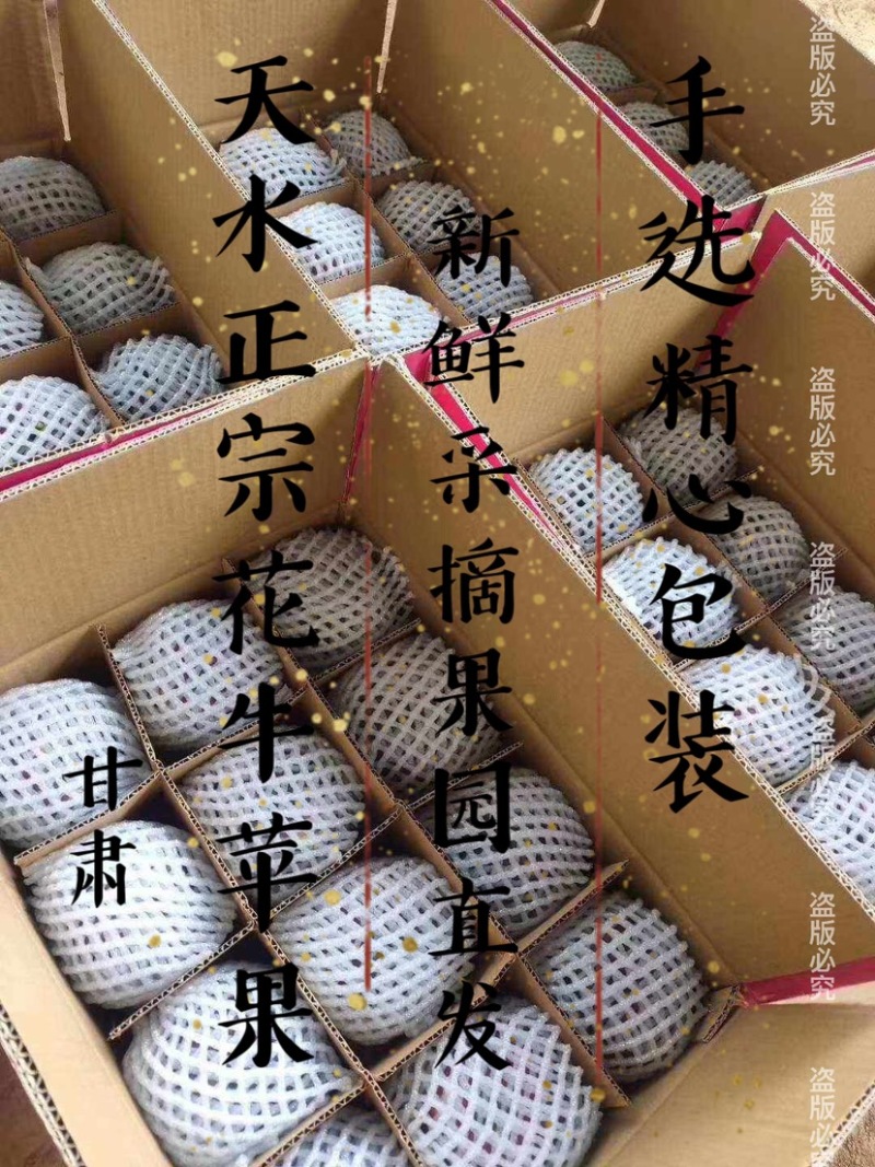 一件代发，甘肃天水花牛苹果，大量上市，提前预定