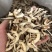 （傲宇药材）枳壳生纸壳江西货过筛