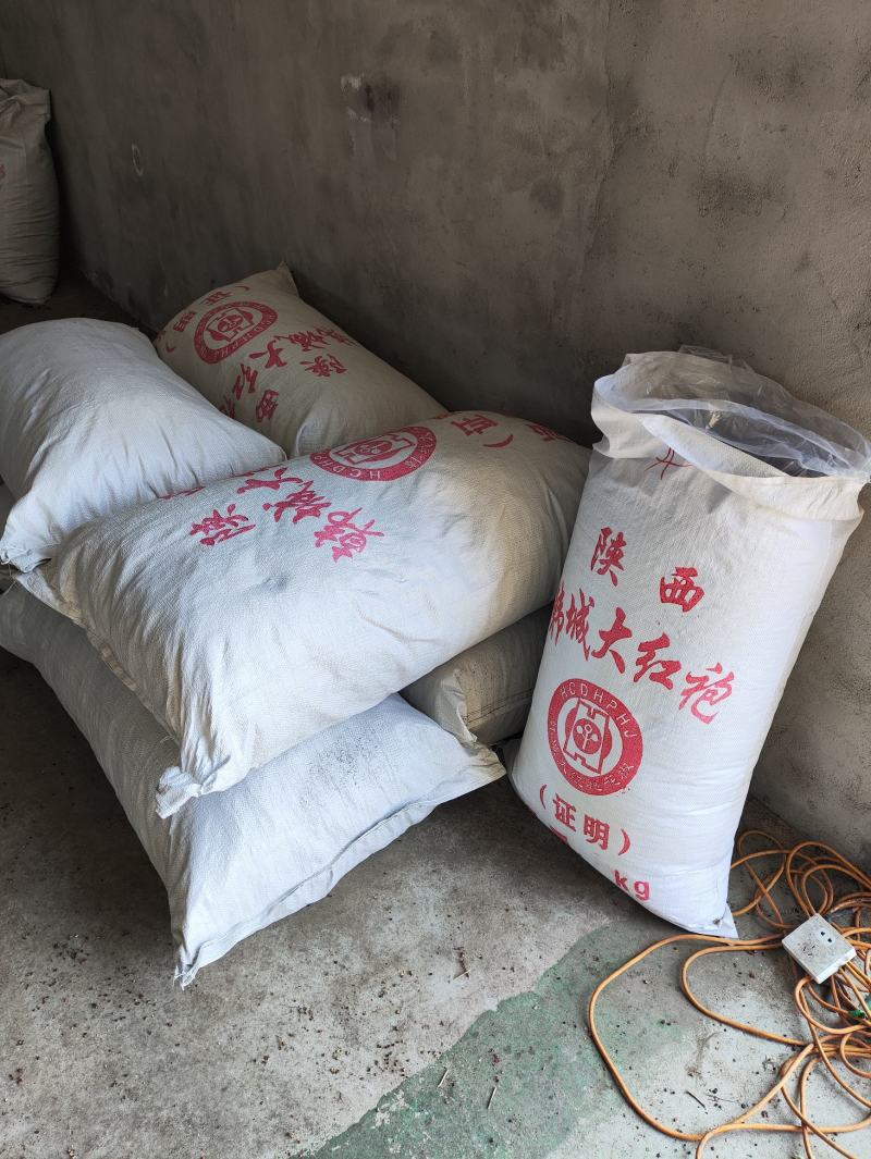 2023年大红袍新货上市，产地直销，欢迎新老客户下单！