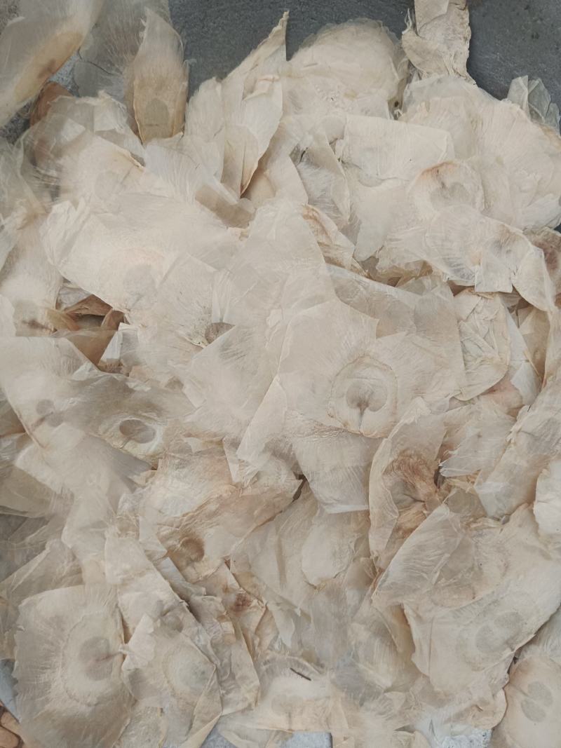 木蝴蝶，千张纸，云故纸，产地直发，质量保证