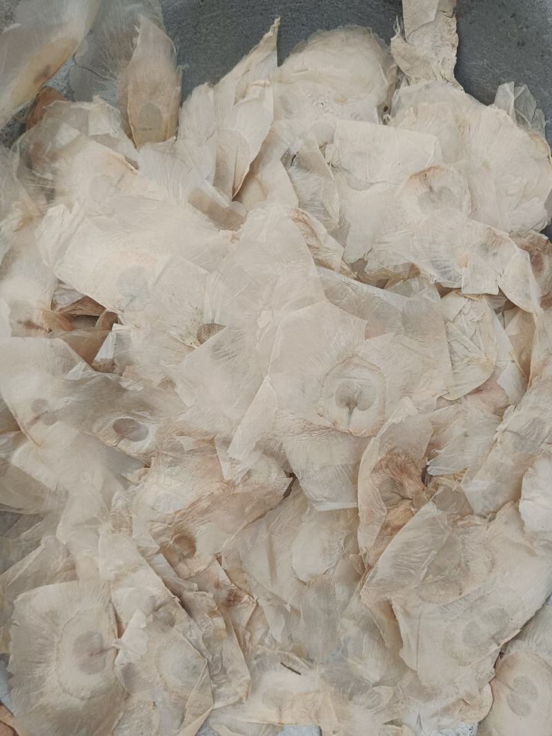 木蝴蝶，千张纸，云故纸，产地直发，质量保证