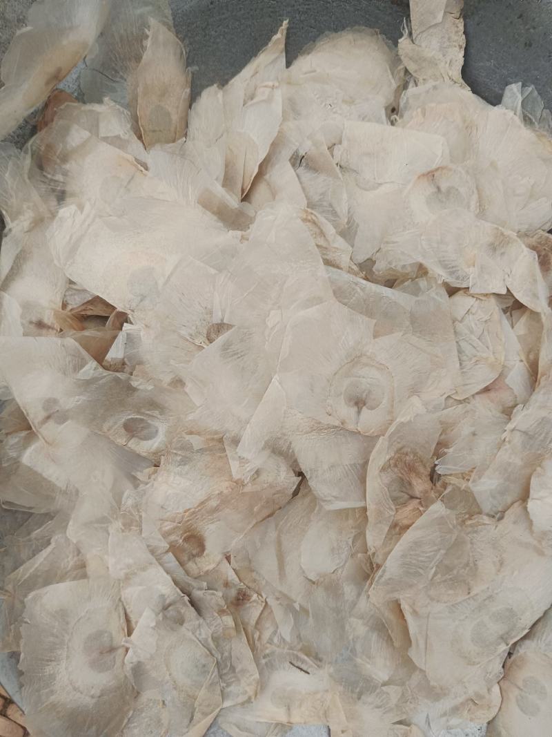 木蝴蝶，千张纸，云故纸，产地直发，质量保证