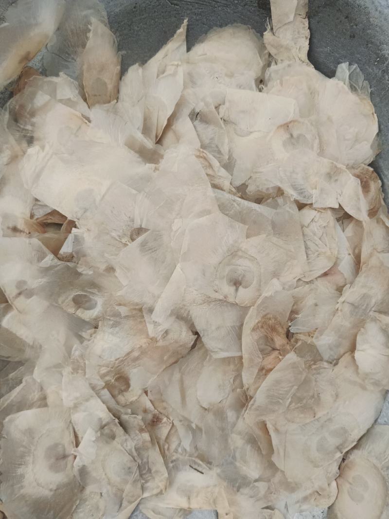 木蝴蝶，千张纸，云故纸，产地直发，质量保证
