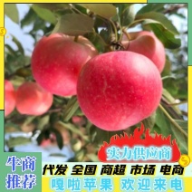 辽宁绥中嘎啦苹果供应商超市场电商批发价格实惠欢迎来电
