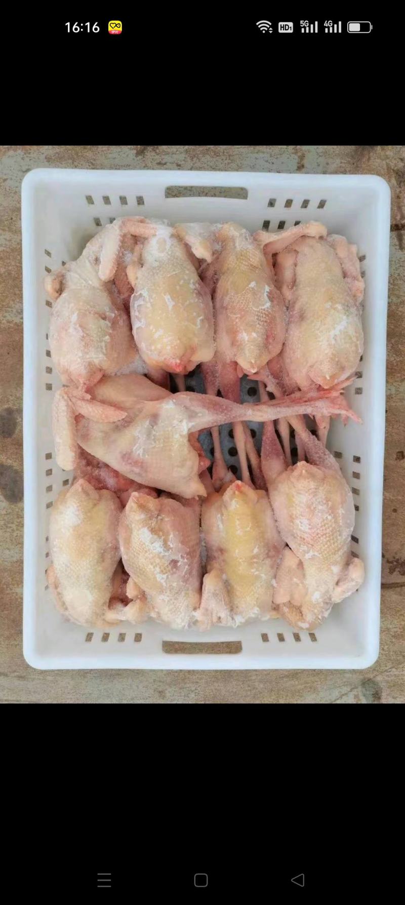 各种白条鸡，净膛货源稳定量大从优欢迎来电