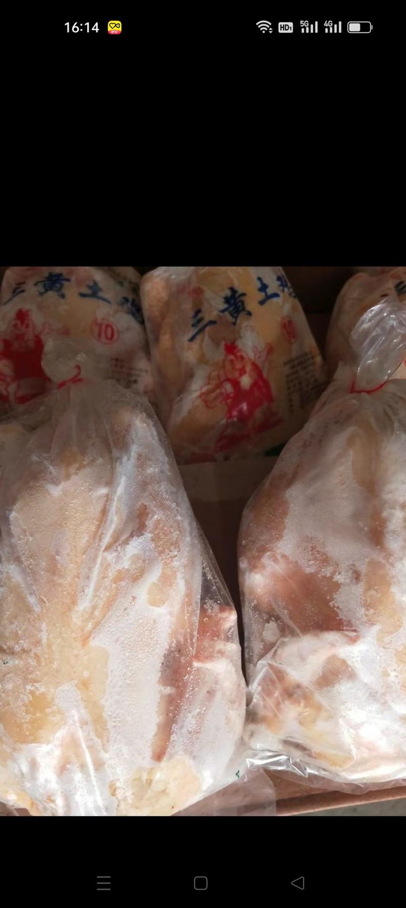 各种白条鸡，净膛货源稳定量大从优欢迎来电