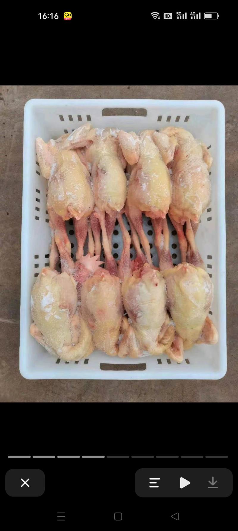 各种白条鸡，净膛货源稳定量大从优欢迎来电