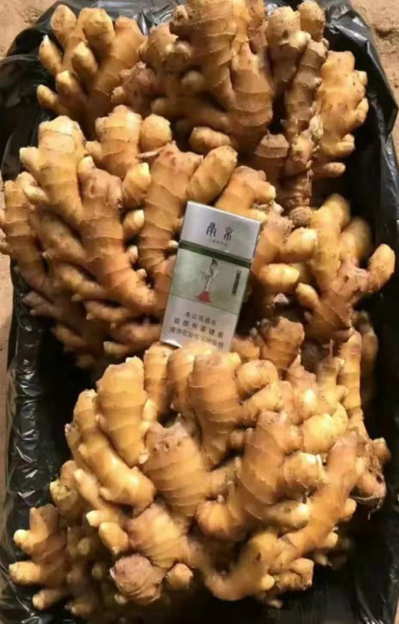 小黄姜，产地直发一手货源【市场货.电商货.加工厂货】
