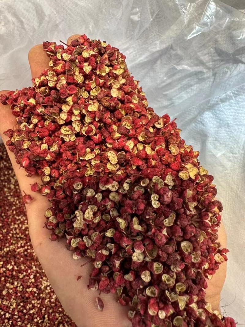 陇南大红袍花椒产地直发一手货源各种规格都有