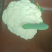 山东菏泽东明花菜马上大量上市诚信经营小陈为你保驾护航
